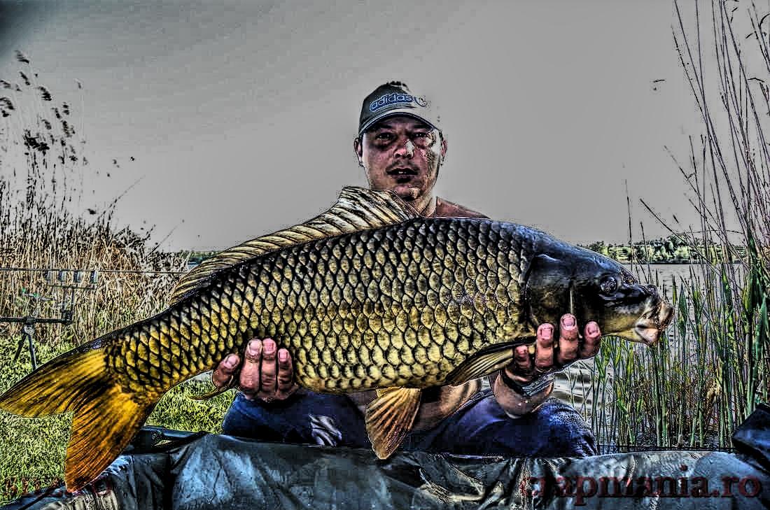 Trofeul Tancabesti - 2013 - 1010251hdrmode2.jpg